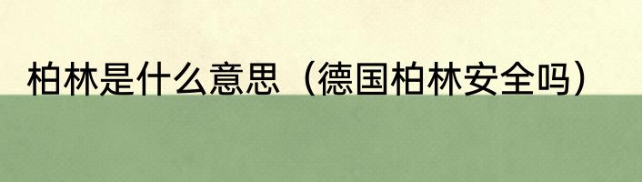 柏林是什么意思（德国柏林安全吗）
