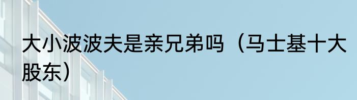 大小波波夫是亲兄弟吗（马士基十大股东）