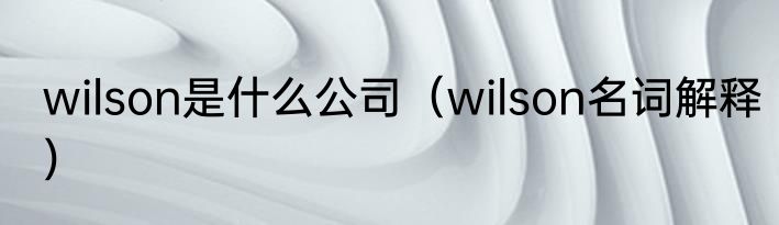 wilson是什么公司（wilson名词解释）