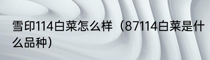 雪印114白菜怎么样（87114白菜是什么品种）