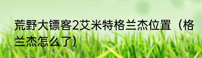荒野大镖客2艾米特格兰杰位置（格兰杰怎么了）