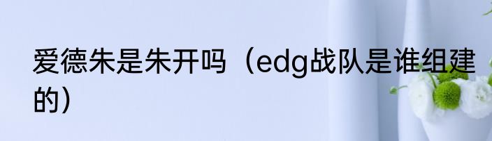 爱德朱是朱开吗（edg战队是谁组建的）