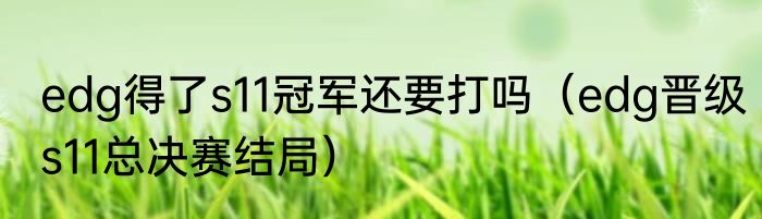edg得了s11冠军还要打吗（edg晋级s11总决赛结局）