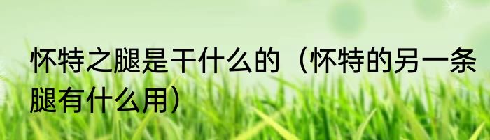 怀特之腿是干什么的（怀特的另一条腿有什么用）