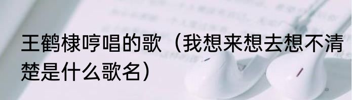 王鹤棣哼唱的歌（我想来想去想不清楚是什么歌名）