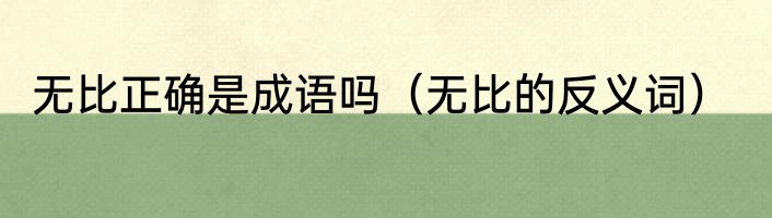 无比正确是成语吗（无比的反义词）
