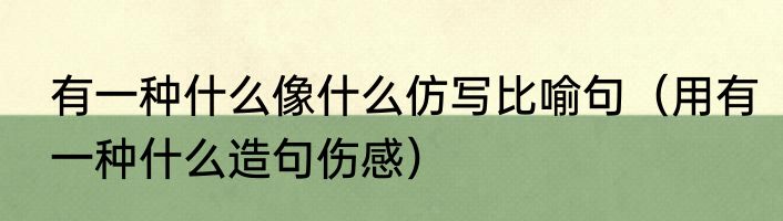 有一种什么像什么仿写比喻句（用有一种什么造句伤感）