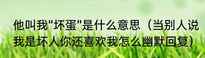 他叫我“坏蛋”是什么意思（当别人说我是坏人你还喜欢我怎么幽默回复）