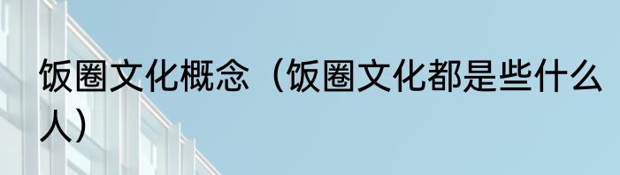 饭圈文化概念（饭圈文化都是些什么人）