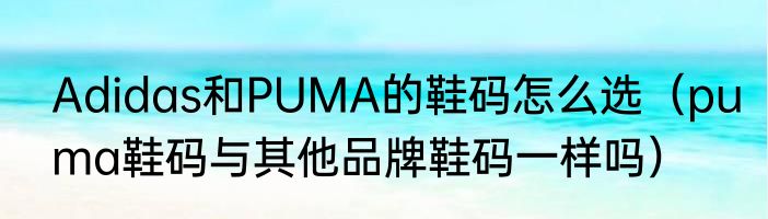 Adidas和PUMA的鞋码怎么选（puma鞋码与其他品牌鞋码一样吗）