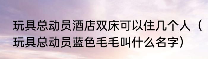 玩具总动员酒店双床可以住几个人（玩具总动员蓝色毛毛叫什么名字）