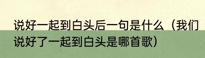 说好一起到白头后一句是什么（我们说好了一起到白头是哪首歌）