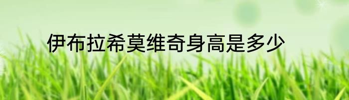 伊布拉希莫维奇身高是多少