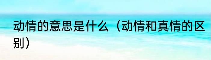 动情的意思是什么（动情和真情的区别）