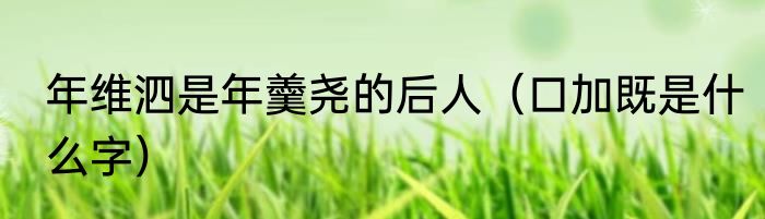 年维泗是年羹尧的后人（口加既是什么字）