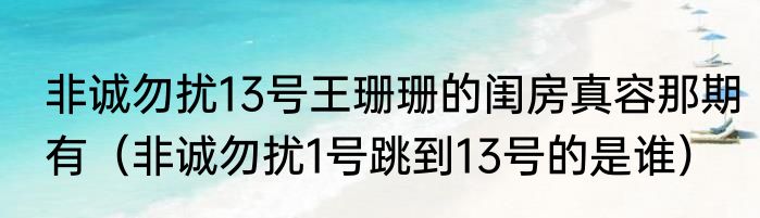 非诚勿扰13号王珊珊的闺房真容那期有（非诚勿扰1号跳到13号的是谁）