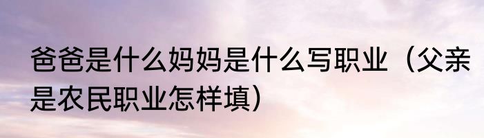 爸爸是什么妈妈是什么写职业（父亲是农民职业怎样填）