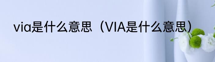 via是什么意思（VIA是什么意思）