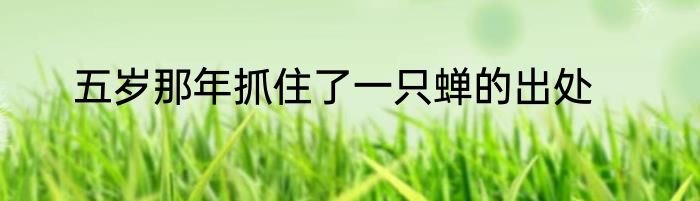 五岁那年抓住了一只蝉的出处