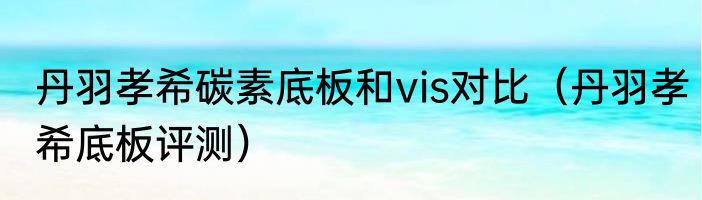 丹羽孝希碳素底板和vis对比（丹羽孝希底板评测）