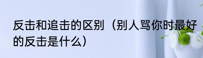 反击和追击的区别(别人骂你时最好的反击是什么)