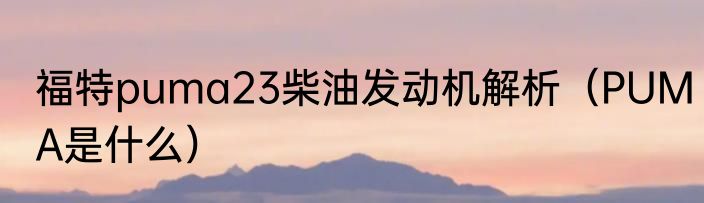 福特puma23柴油发动机解析（PUMA是什么）