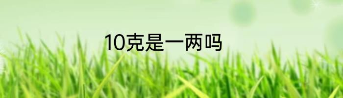 10克是一两吗
