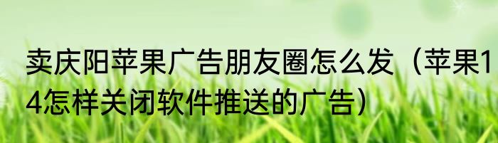 卖庆阳苹果广告朋友圈怎么发（苹果14怎样关闭软件推送的广告）