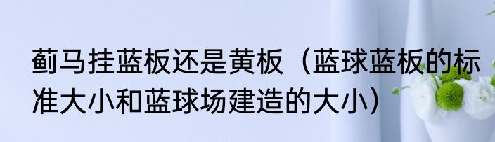 蓟马挂蓝板还是黄板（蓝球蓝板的标准大小和蓝球场建造的大小）