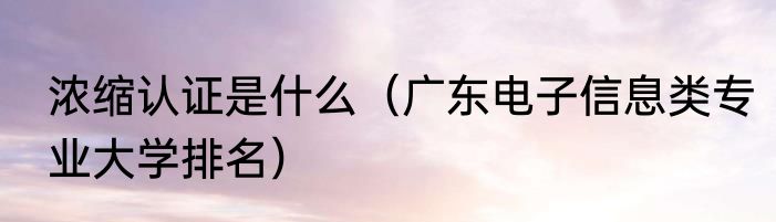 浓缩认证是什么（广东电子信息类专业大学排名）