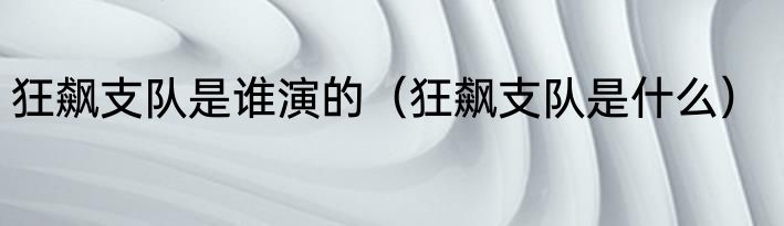 狂飙支队是谁演的（狂飙支队是什么）