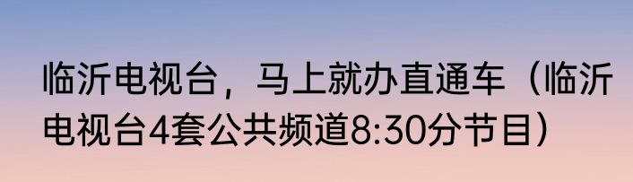临沂电视台,马上就办直通车(临沂电视台4套公共频道8:30分节目)