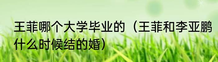 王菲哪个大学毕业的（王菲和李亚鹏什么时候结的婚）