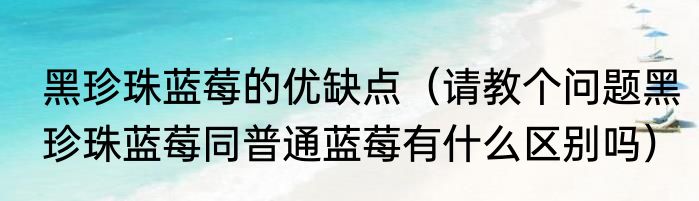 黑珍珠蓝莓的优缺点（请教个问题黑珍珠蓝莓同普通蓝莓有什么区别吗）