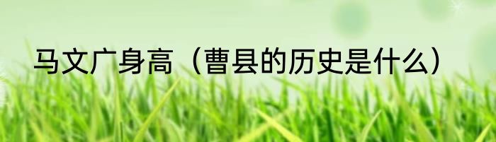 马文广身高（曹县的历史是什么）