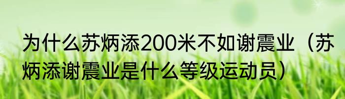 为什么苏炳添200米不如谢震业（苏炳添谢震业是什么等级运动员）