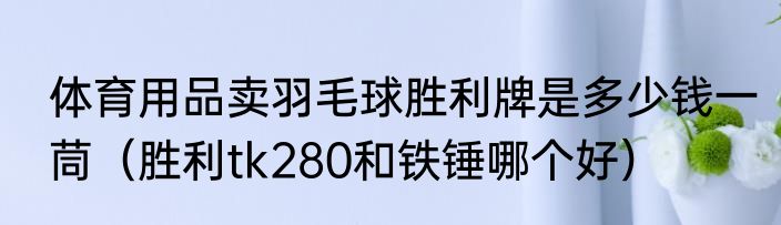 体育用品卖羽毛球胜利牌是多少钱一茼（胜利tk280和铁锤哪个好）
