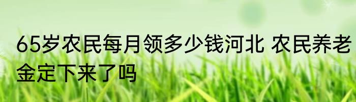 65岁农民每月领多少钱河北 农民养老金定下来了吗