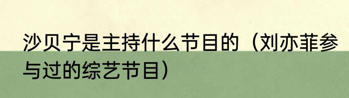 沙贝宁是主持什么节目的（刘亦菲参与过的综艺节目）