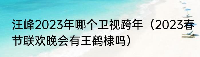 汪峰2023年哪个卫视跨年（2023春节联欢晚会有王鹤棣吗）