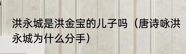 洪永城是洪金宝的儿子吗（唐诗咏洪永城为什么分手）
