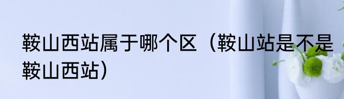 鞍山西站属于哪个区（鞍山站是不是鞍山西站）