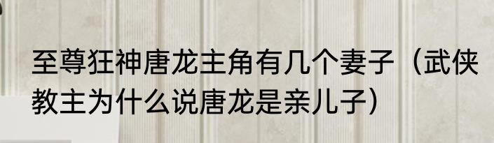 至尊狂神唐龙主角有几个妻子（武侠教主为什么说唐龙是亲儿子）