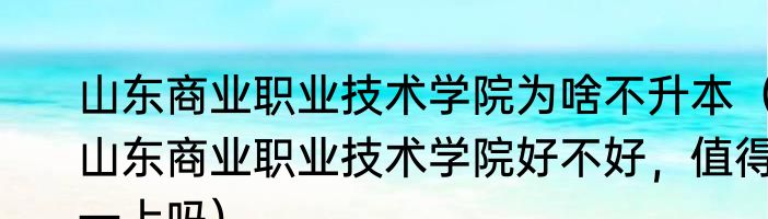 山东商业职业技术学院为啥不升本（山东商业职业技术学院好不好，值得一上吗）