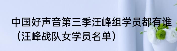中国好声音第三季汪峰组学员都有谁（汪峰战队女学员名单）