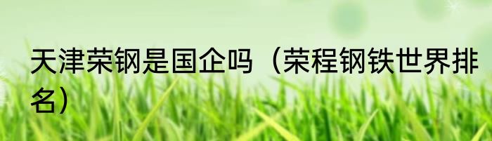 天津荣钢是国企吗（荣程钢铁世界排名）