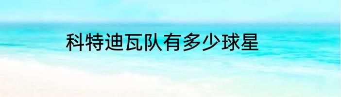 科特迪瓦队有多少球星