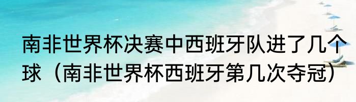 南非世界杯决赛中西班牙队进了几个球（南非世界杯西班牙第几次夺冠）
