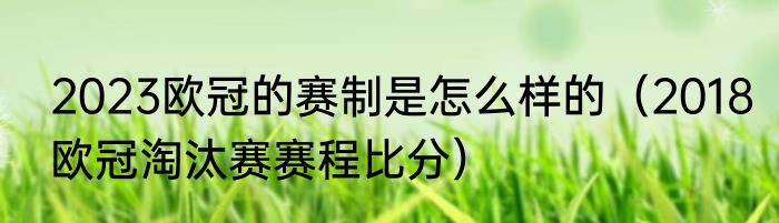 2023欧冠的赛制是怎么样的（2018欧冠淘汰赛赛程比分）