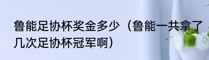 鲁能足协杯奖金多少（鲁能一共拿了几次足协杯冠军啊）